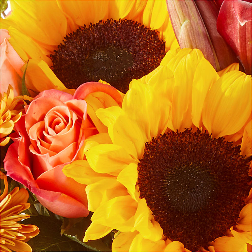 Acorn Lane Bouquet – YOUNG'S GREENHOUSE & FLOWER SHOP, Fort Wayne IN