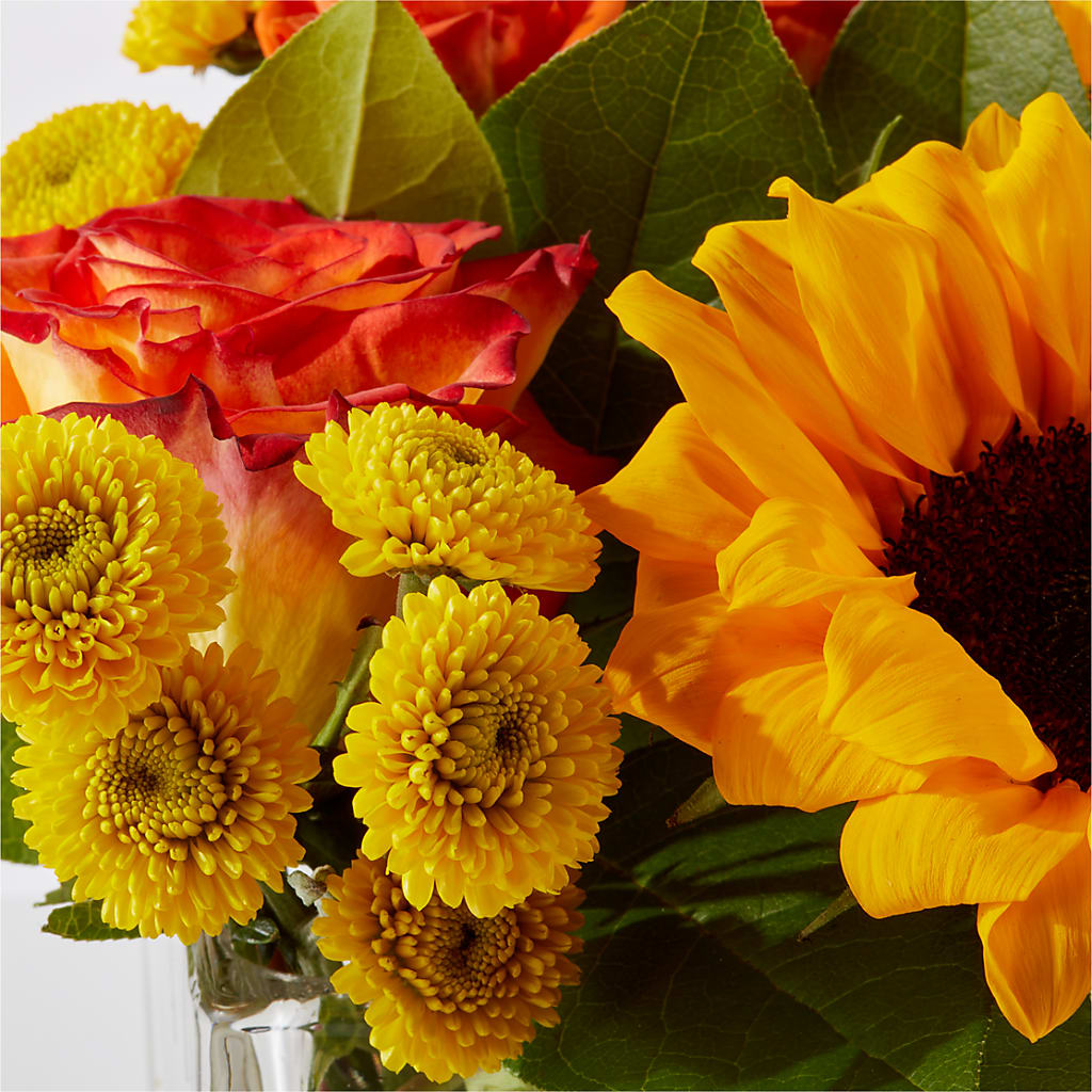 Picnic in the Park Bouquet – YOUNG'S GREENHOUSE & FLOWER SHOP, Fort Wayne IN