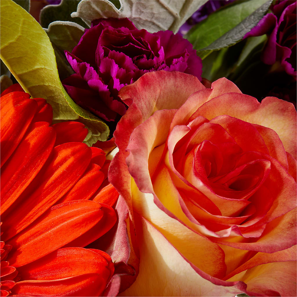 Sangria Bouquet – YOUNG'S GREENHOUSE & FLOWER SHOP, Fort Wayne IN