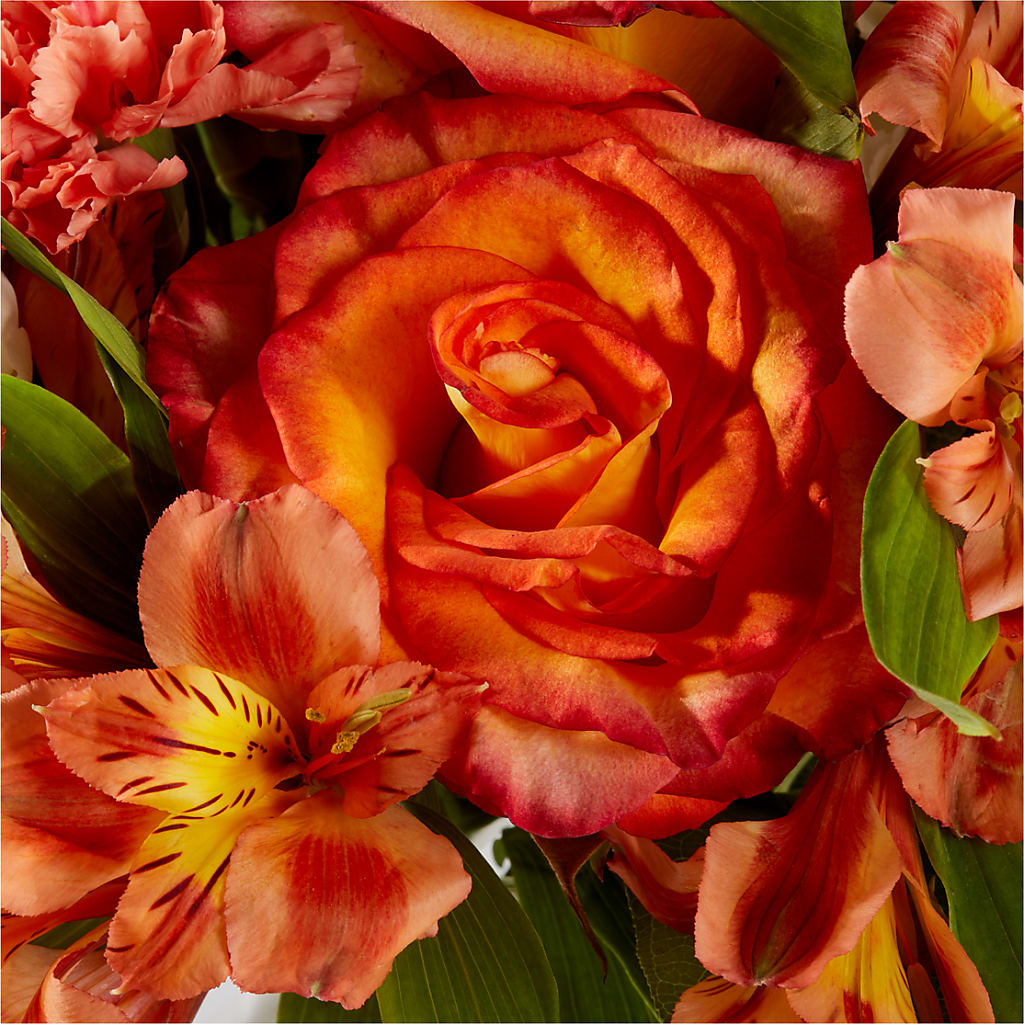 Apricot Glow Bouquet – YOUNG'S GREENHOUSE & FLOWER SHOP, Fort Wayne IN