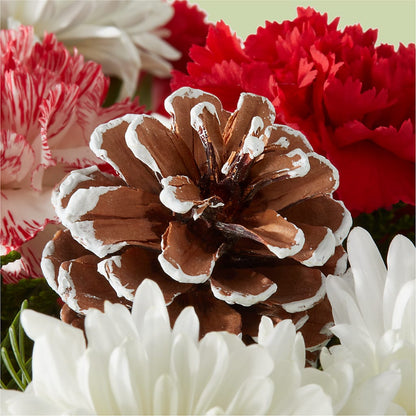 Candy Cane Lane Bouquet – YOUNG'S GREENHOUSE & FLOWER SHOP, Fort Wayne IN