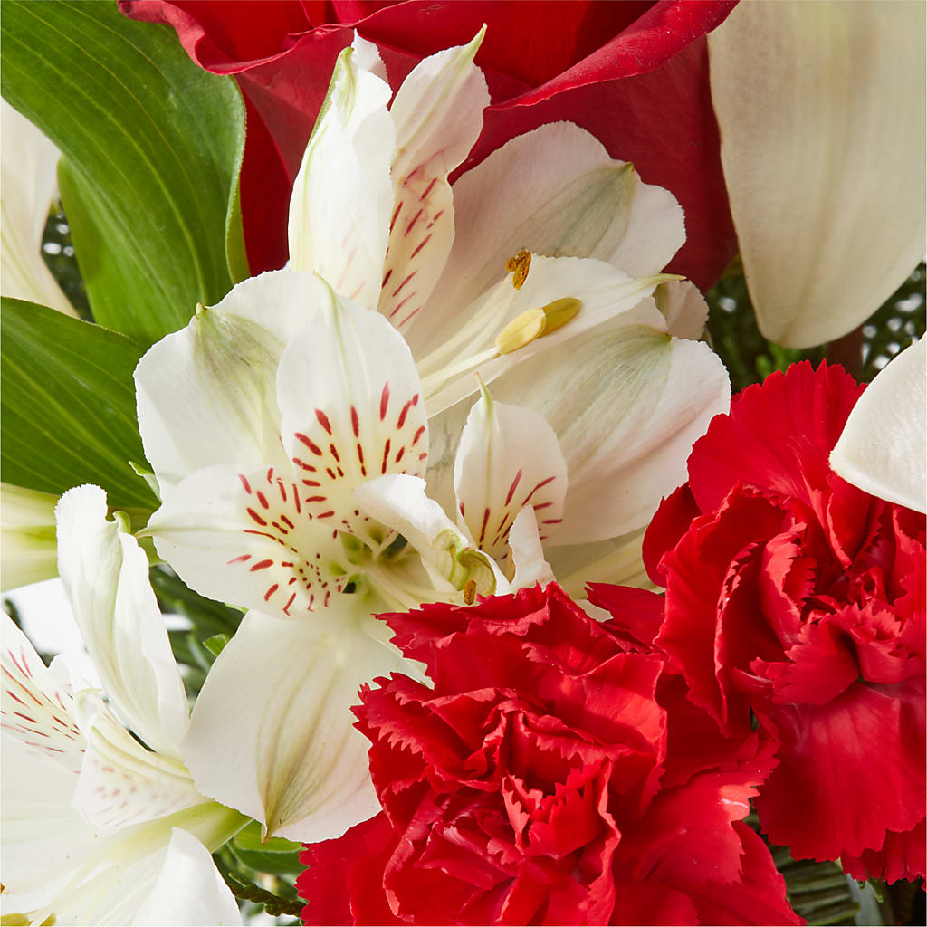 Holiday Season Bouquet – YOUNG'S GREENHOUSE & FLOWER SHOP, Fort Wayne IN
