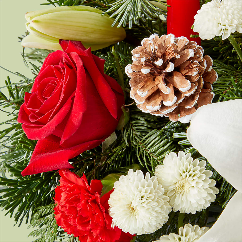 Seasonal Festivities Centerpiece – YOUNG'S GREENHOUSE & FLOWER SHOP, Fort Wayne IN