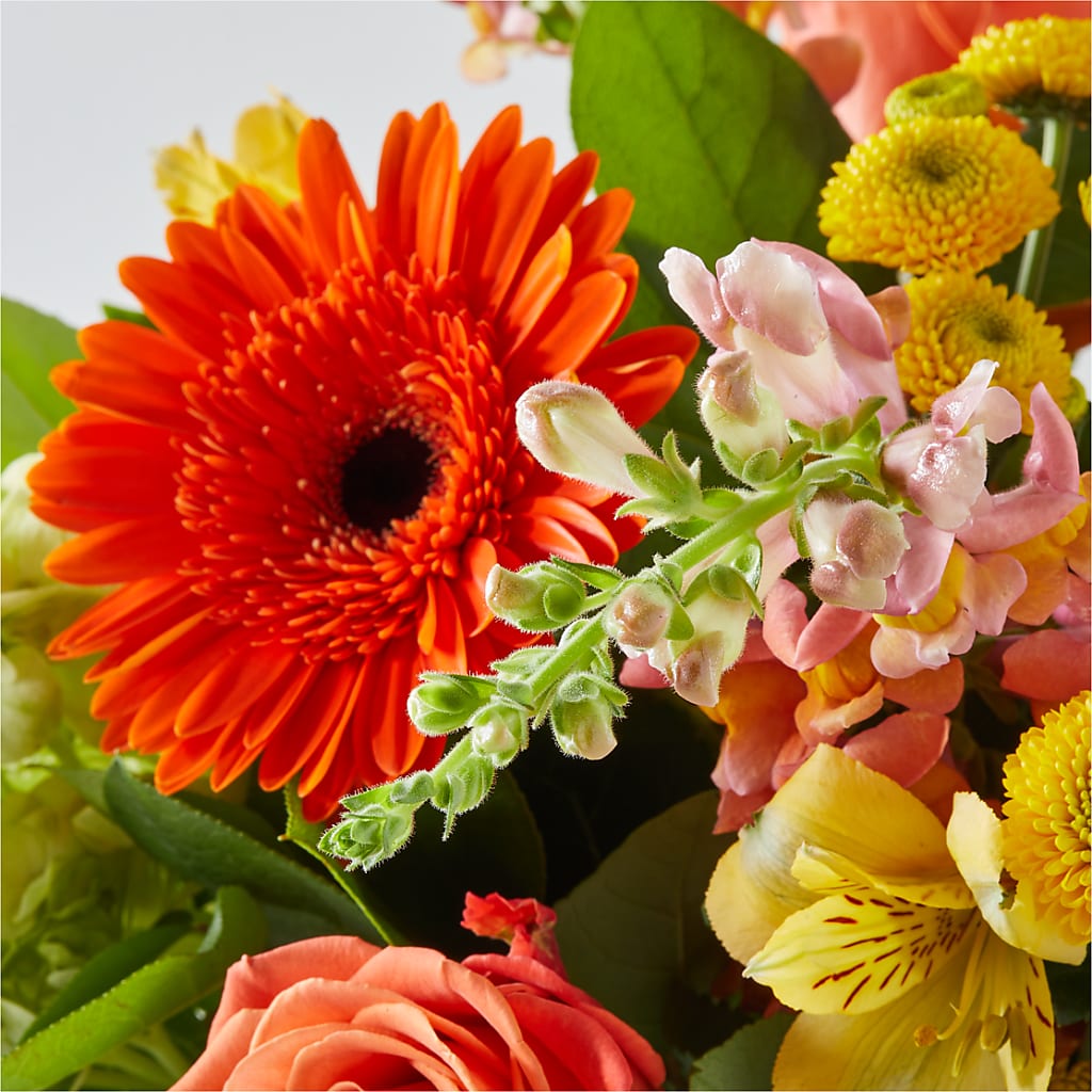Autumn Sunshine Bouquet – YOUNG'S GREENHOUSE & FLOWER SHOP, Fort Wayne IN