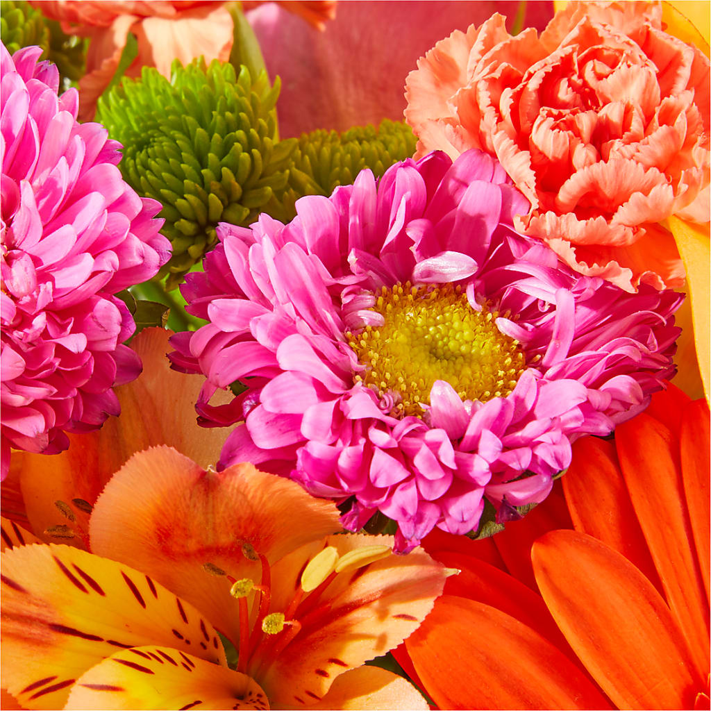 Soiree Bouquet – YOUNG'S GREENHOUSE & FLOWER SHOP, Fort Wayne IN