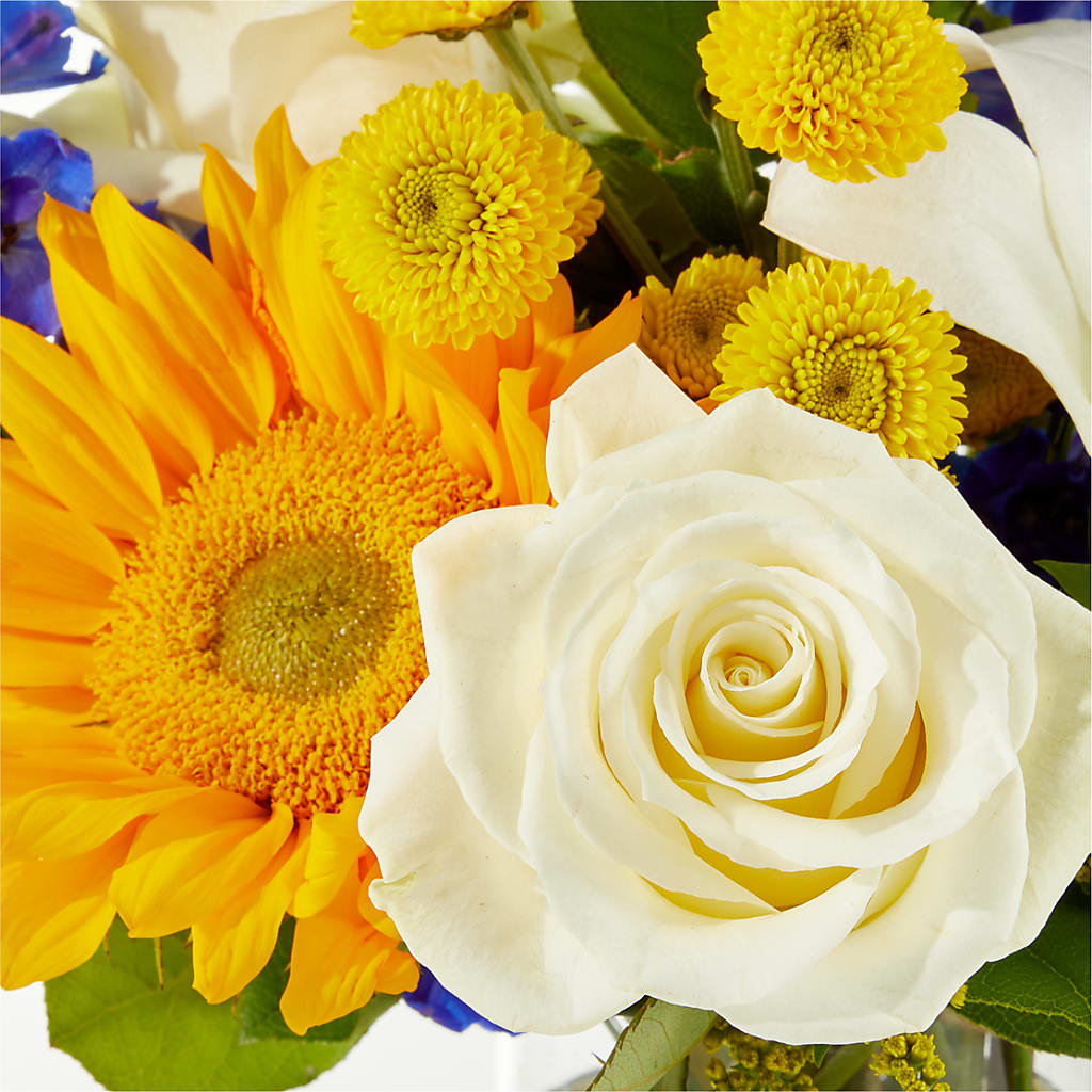 Stargazing Bouquet – YOUNG'S GREENHOUSE & FLOWER SHOP, Fort Wayne IN
