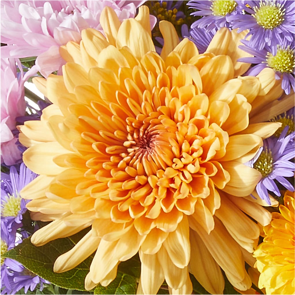 Countryside Bouquet – YOUNG'S GREENHOUSE & FLOWER SHOP, Fort Wayne IN