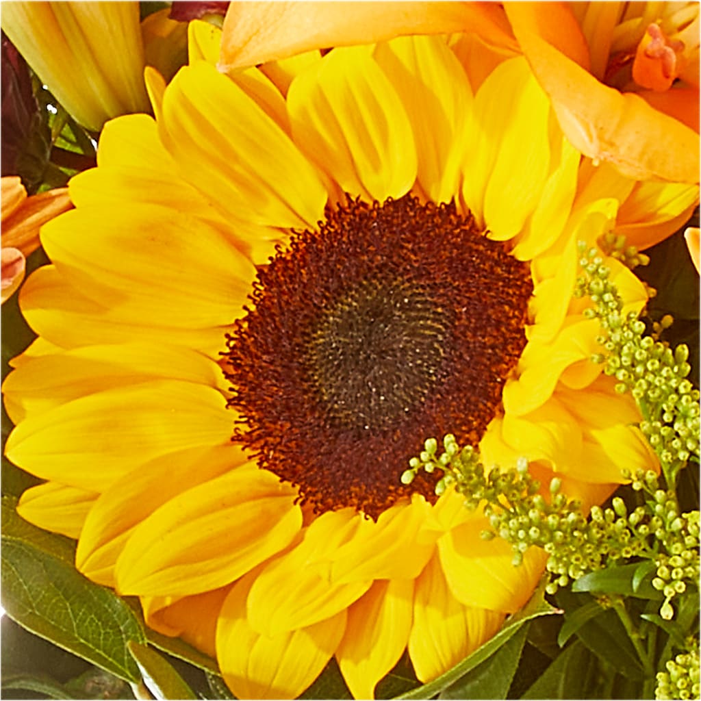 Seasons Change Bouquet – YOUNG'S GREENHOUSE & FLOWER SHOP, Fort Wayne IN