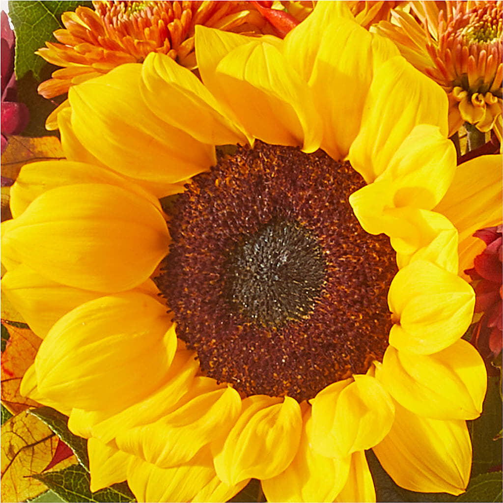 Sunny Side Bouquet – YOUNG'S GREENHOUSE & FLOWER SHOP, Fort Wayne IN