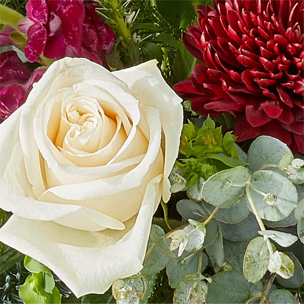 Cranberry Fizz Bouquet – YOUNG'S GREENHOUSE & FLOWER SHOP, Fort Wayne IN