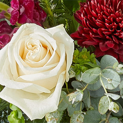 Cranberry Fizz Bouquet – YOUNG'S GREENHOUSE & FLOWER SHOP, Fort Wayne IN