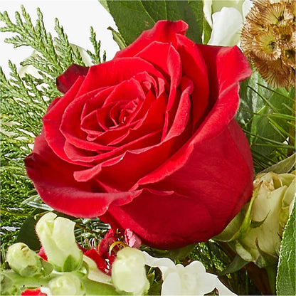 Deck the Halls Bouquet – YOUNG'S GREENHOUSE & FLOWER SHOP, Fort Wayne IN