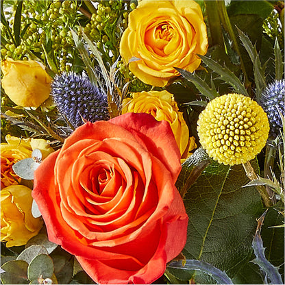 Disco Bouquet – YOUNG'S GREENHOUSE & FLOWER SHOP, Fort Wayne IN