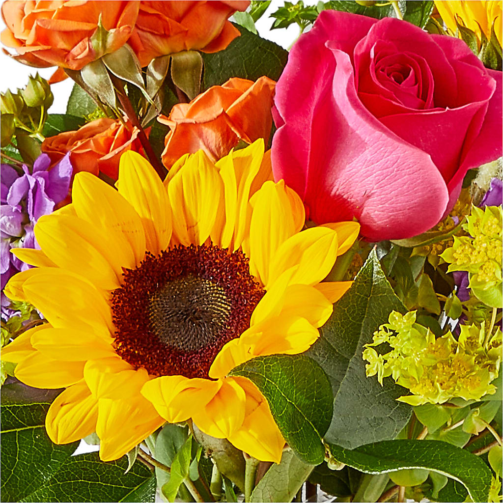 Vibrant Greetings Bouquet – YOUNG'S GREENHOUSE & FLOWER SHOP, Fort Wayne IN