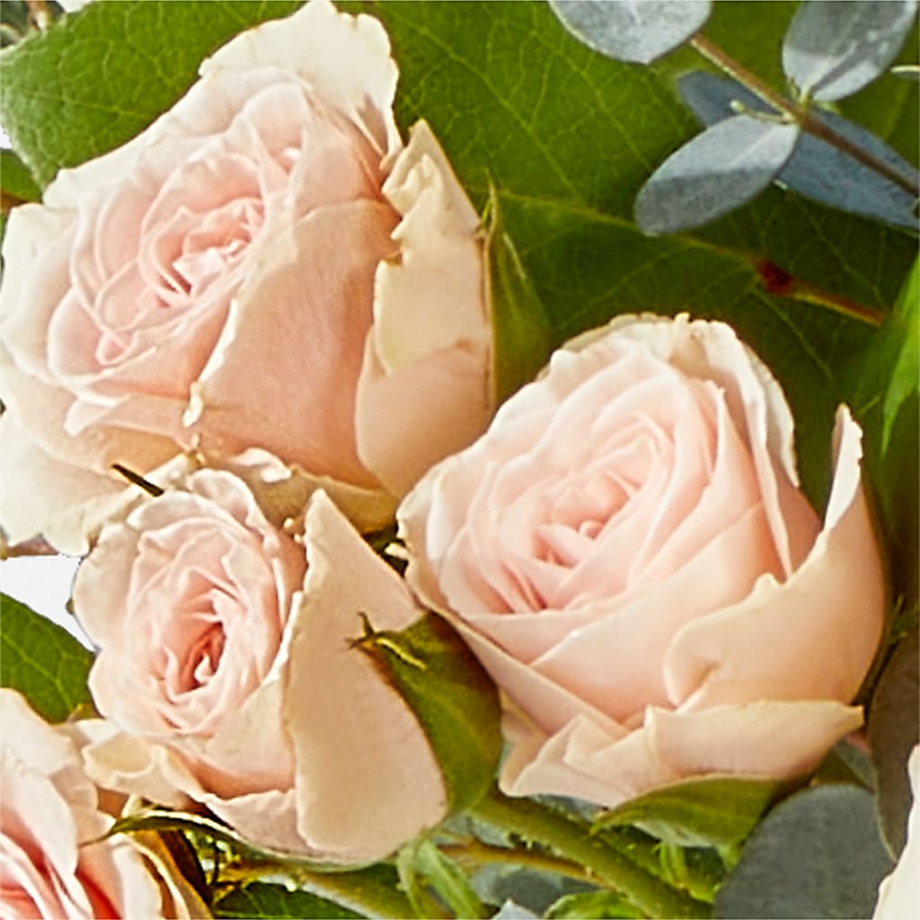 Inspired Bouquet – YOUNG'S GREENHOUSE & FLOWER SHOP, Fort Wayne IN