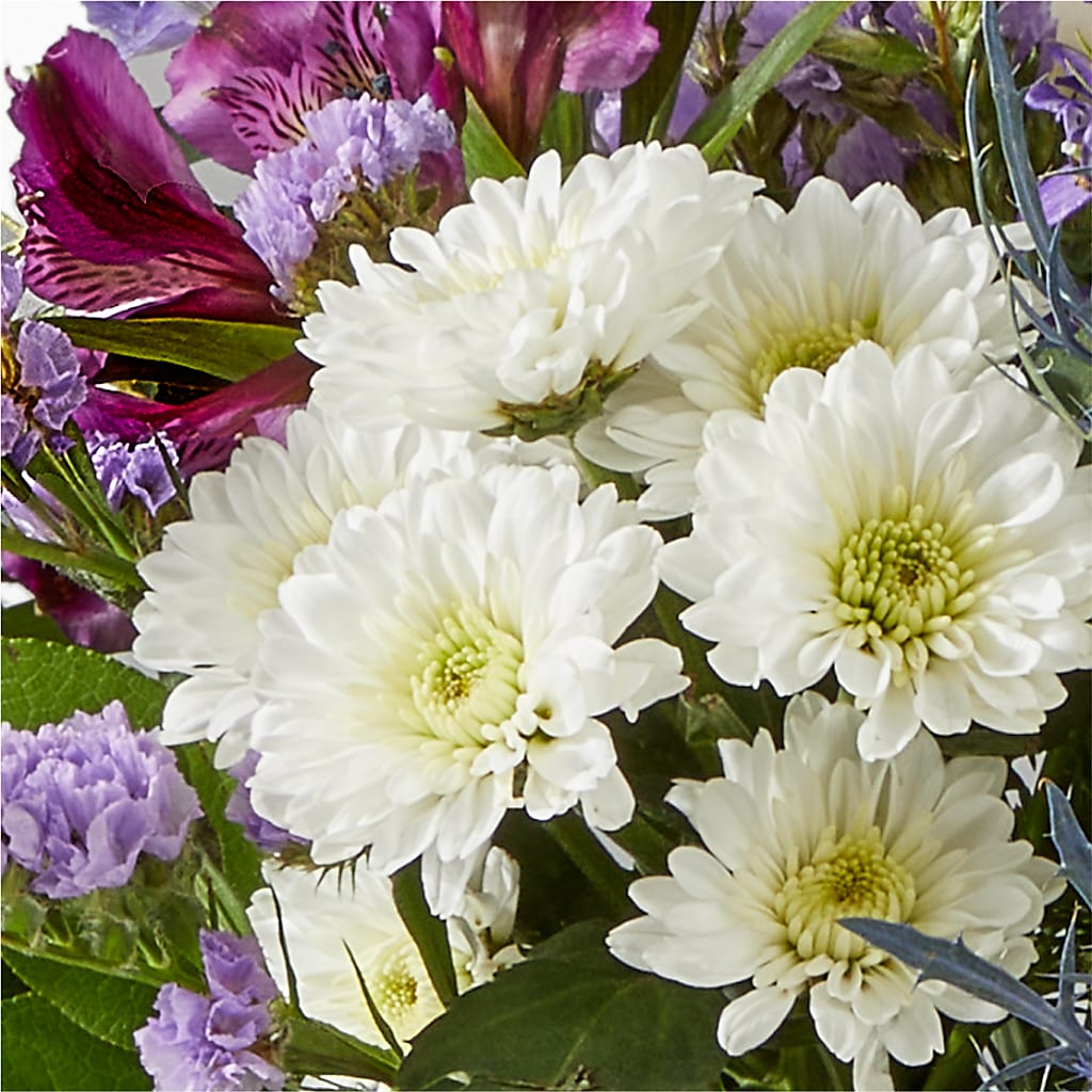 Shooting Star Bouquet – YOUNG'S GREENHOUSE & FLOWER SHOP, Fort Wayne IN