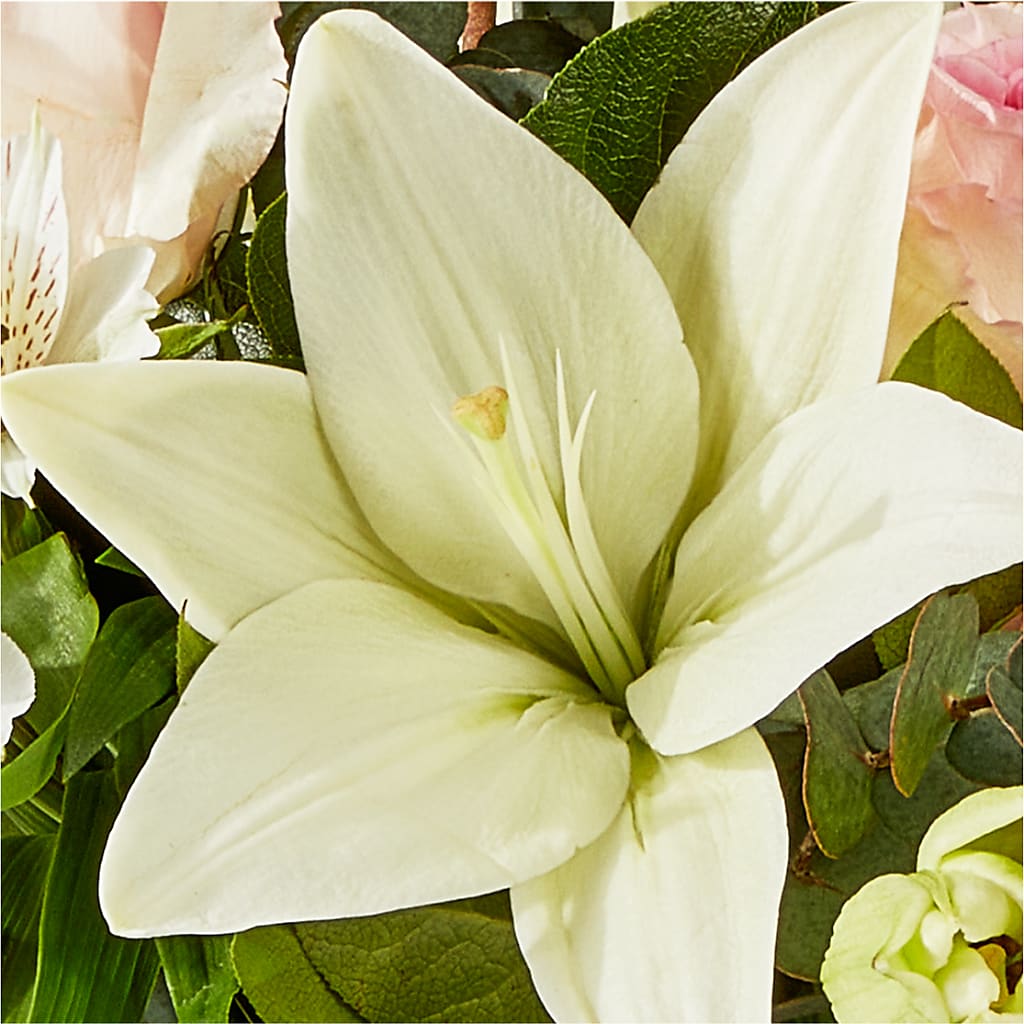 Ballet Slippers Bouquet – YOUNG'S GREENHOUSE & FLOWER SHOP, Fort Wayne IN