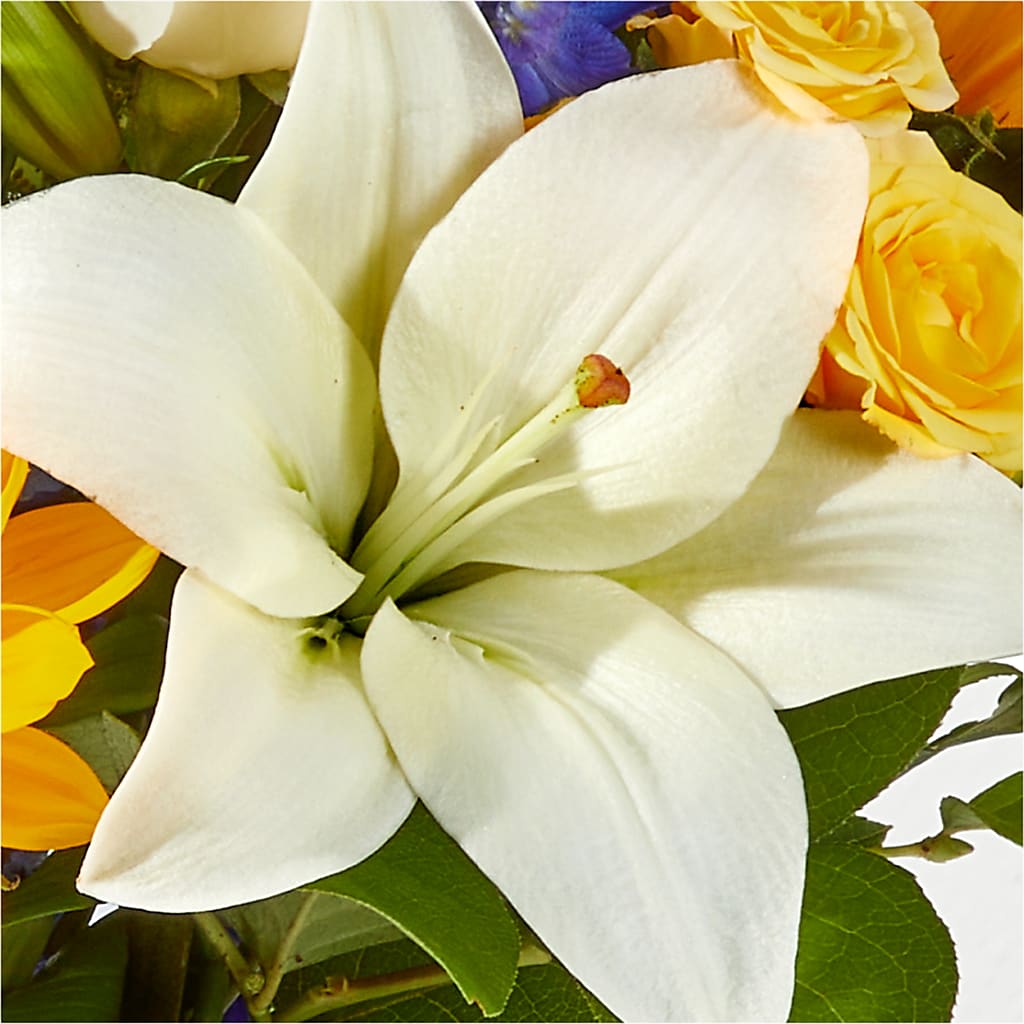 Wonderfully Sunny Bouquet – YOUNG'S GREENHOUSE & FLOWER SHOP, Fort Wayne IN