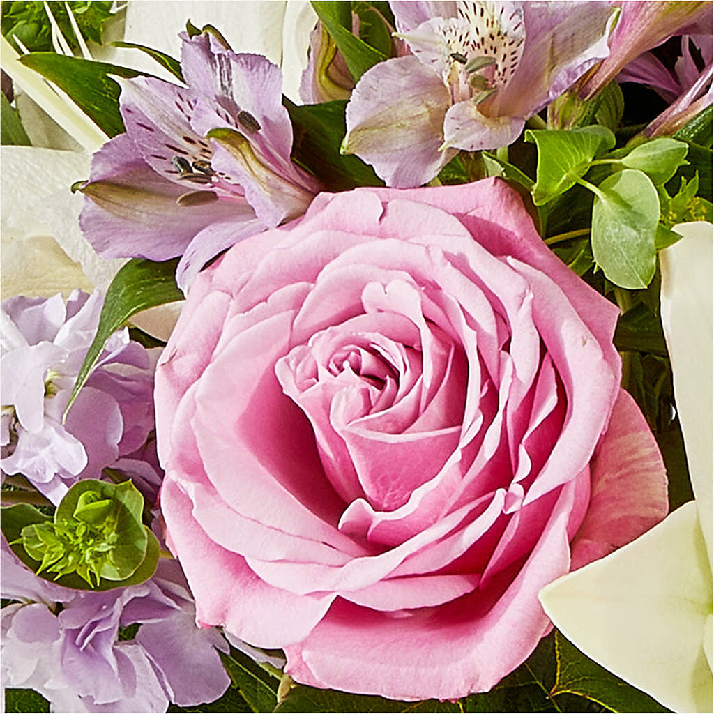 Daydreamer Bouquet – YOUNG'S GREENHOUSE & FLOWER SHOP, Fort Wayne IN