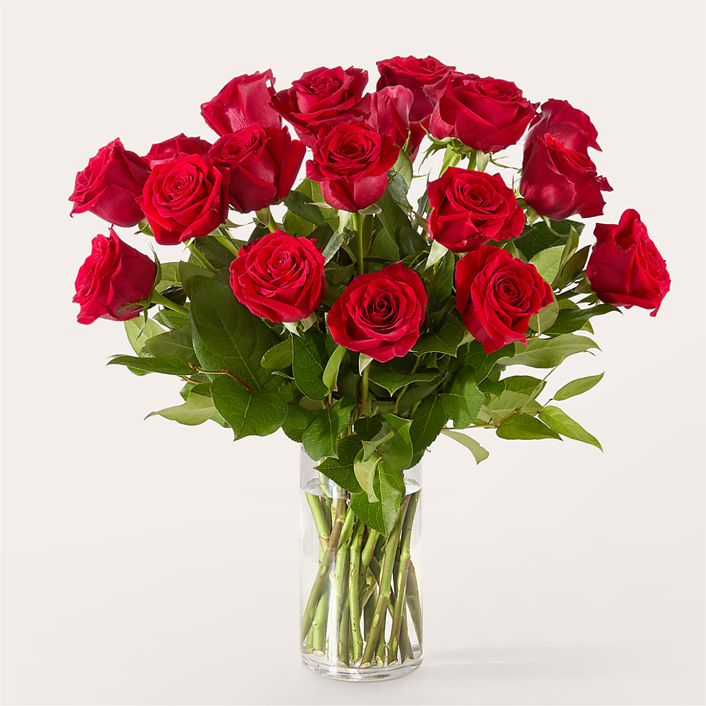 The One Red Rose Bouquet – YOUNG'S GREENHOUSE & FLOWER SHOP, Fort Wayne IN
