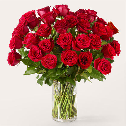 The One Red Rose Bouquet – YOUNG'S GREENHOUSE & FLOWER SHOP, Fort Wayne IN