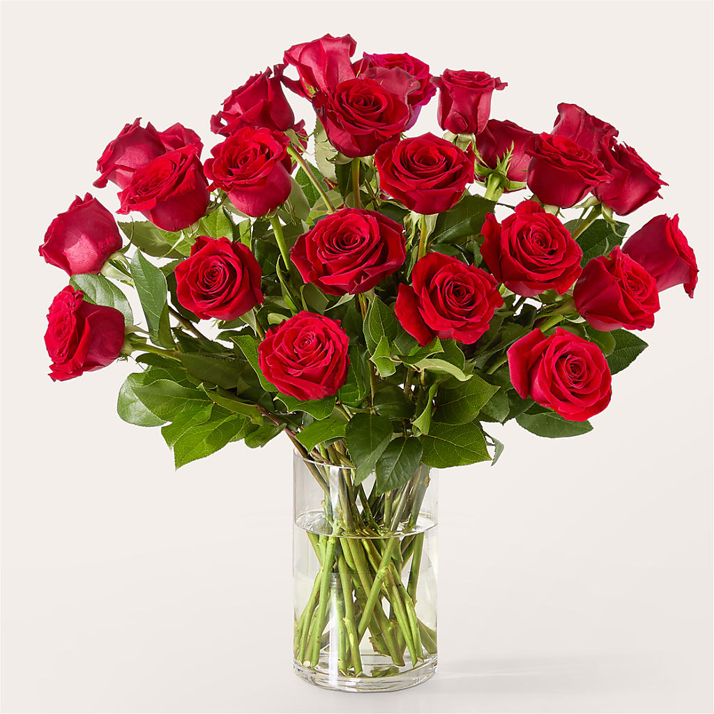The One Red Rose Bouquet – YOUNG'S GREENHOUSE & FLOWER SHOP, Fort Wayne IN