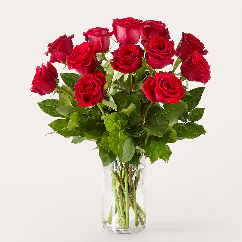 The One Red Rose Bouquet – YOUNG'S GREENHOUSE & FLOWER SHOP, Fort Wayne IN