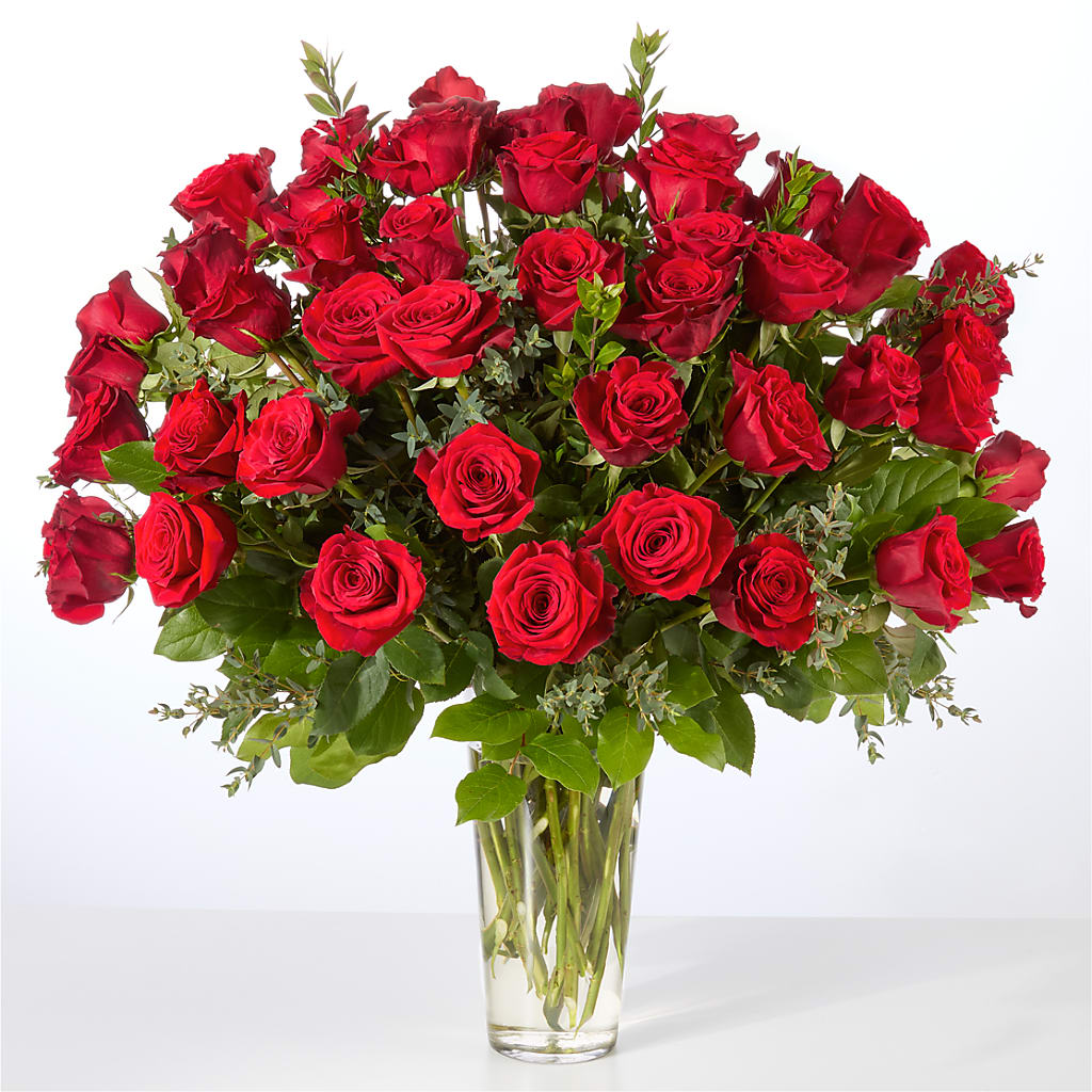 Forever Yours Fifty Stem Red Rose Bouquet – YOUNG'S GREENHOUSE & FLOWER SHOP, Fort Wayne IN