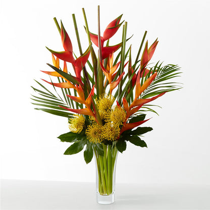 The Drama – YOUNG'S GREENHOUSE & FLOWER SHOP, Fort Wayne IN
