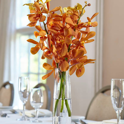 Orange Mokara Bud Vase – YOUNG'S GREENHOUSE & FLOWER SHOP, Fort Wayne IN