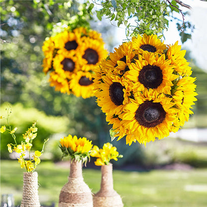 Sublime Garden Hanging Arrangement – YOUNG'S GREENHOUSE & FLOWER SHOP, Fort Wayne IN