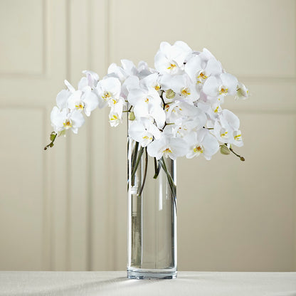 White Phalaenopsis Bouquet – YOUNG'S GREENHOUSE & FLOWER SHOP, Fort Wayne IN
