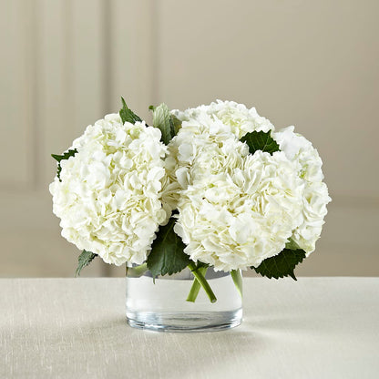 White Hydrangea Bouquet – YOUNG'S GREENHOUSE & FLOWER SHOP, Fort Wayne IN