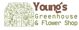 Young's Greenhouse & Flower Shop